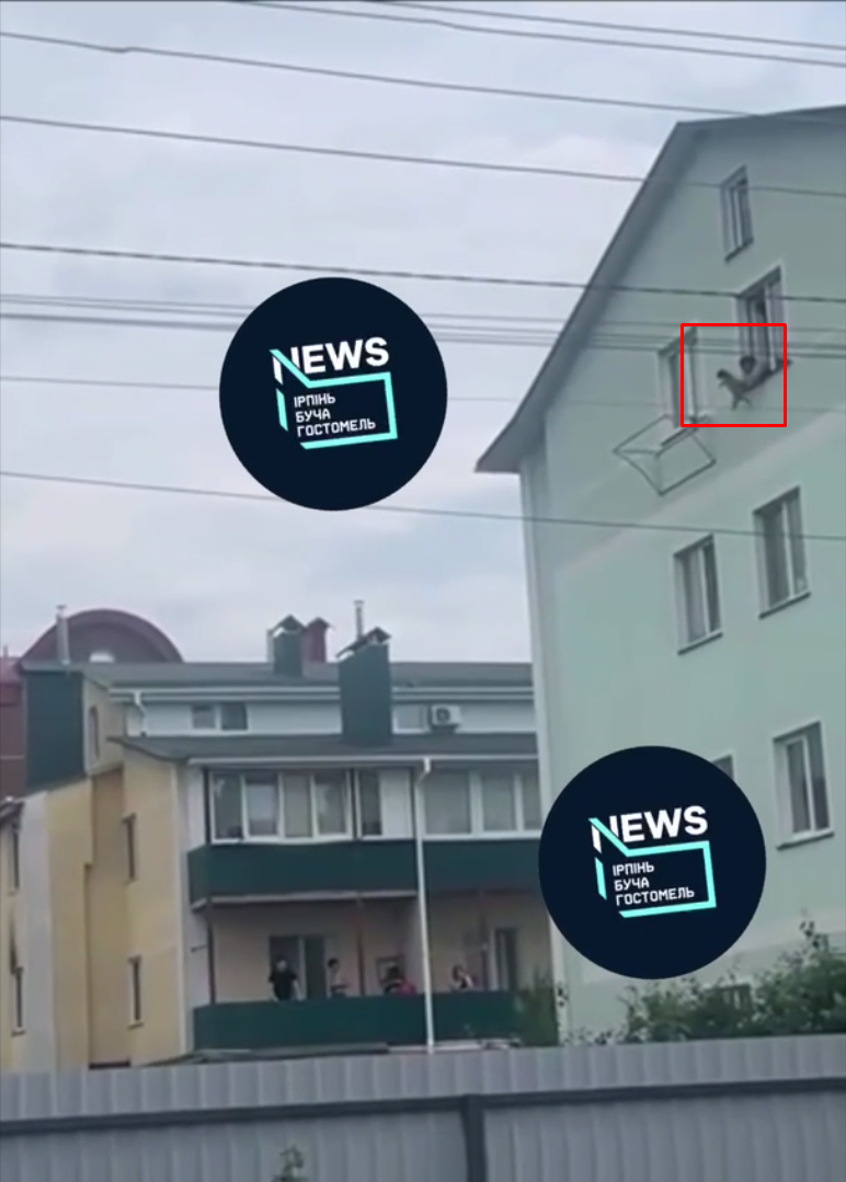 Под Киевом женщина выбросила с четвертого этажа маленькую собаку: делом занялась полиция. Видео