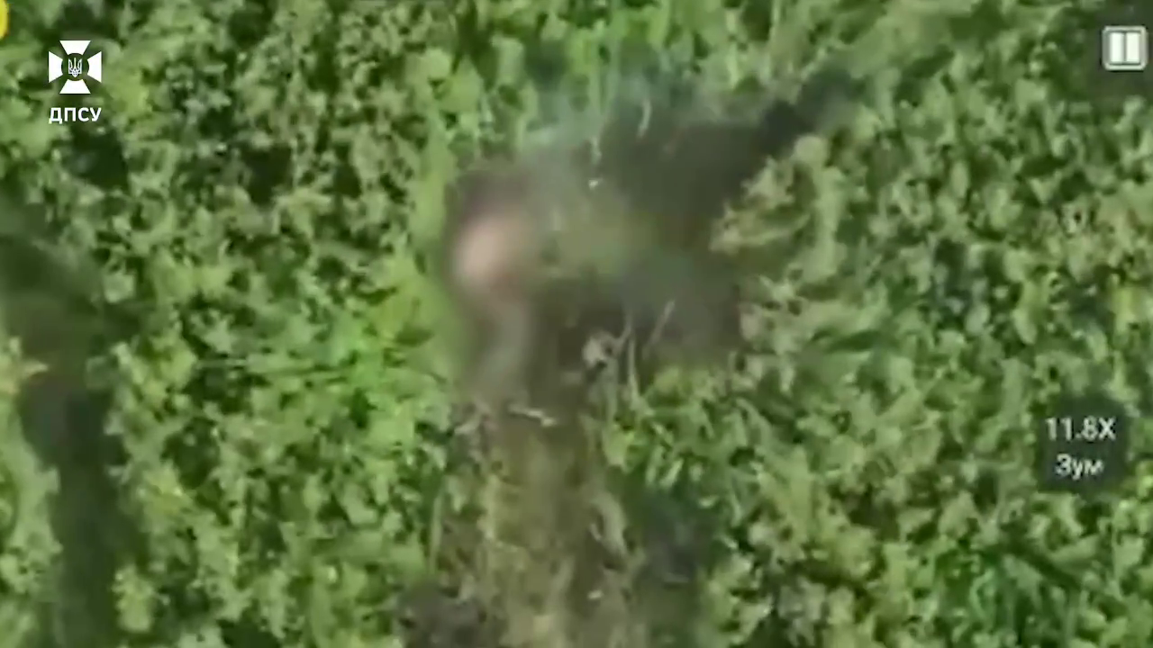 Штурм отменяется: пограничники уничтожили вражеских пехотинцев на Северо-Слобожанском направлении. Видео