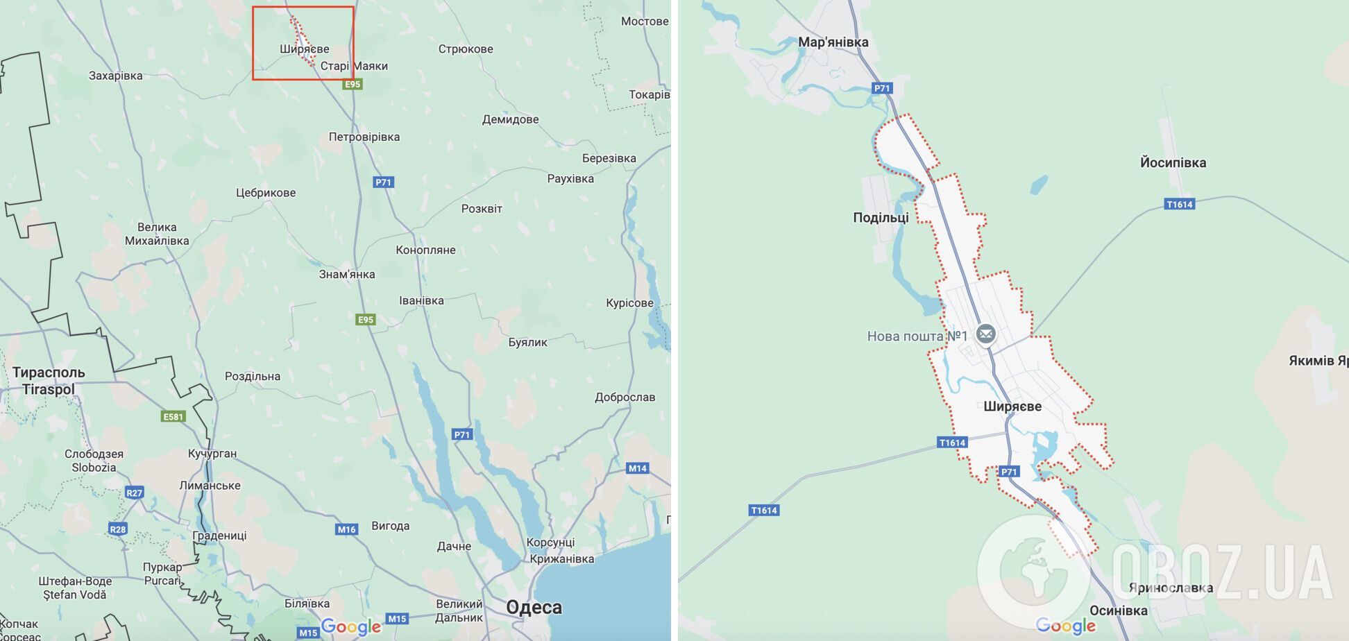 "Старіша" за динозаврів: на Одещині помітили рідкісну черепаху. Фото і відео