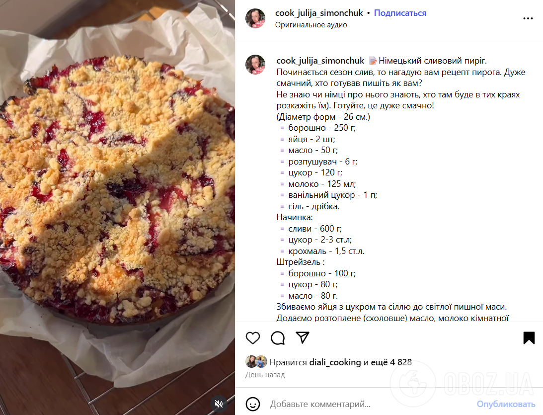 Який смачний пиріг приготувати зі сливами: дуже пухке тісто та золотиста скоринка зверху