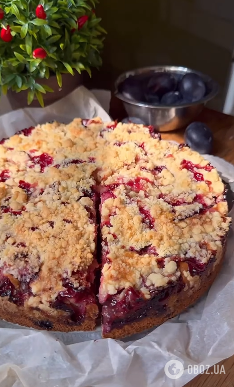 Який смачний пиріг приготувати зі сливами: дуже пухке тісто та золотиста скоринка зверху