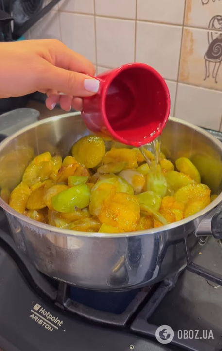 Пікантний соус "Ткемалі" з жовтих слив: ідеальне доповнення до м'яса та інших улюблених страв