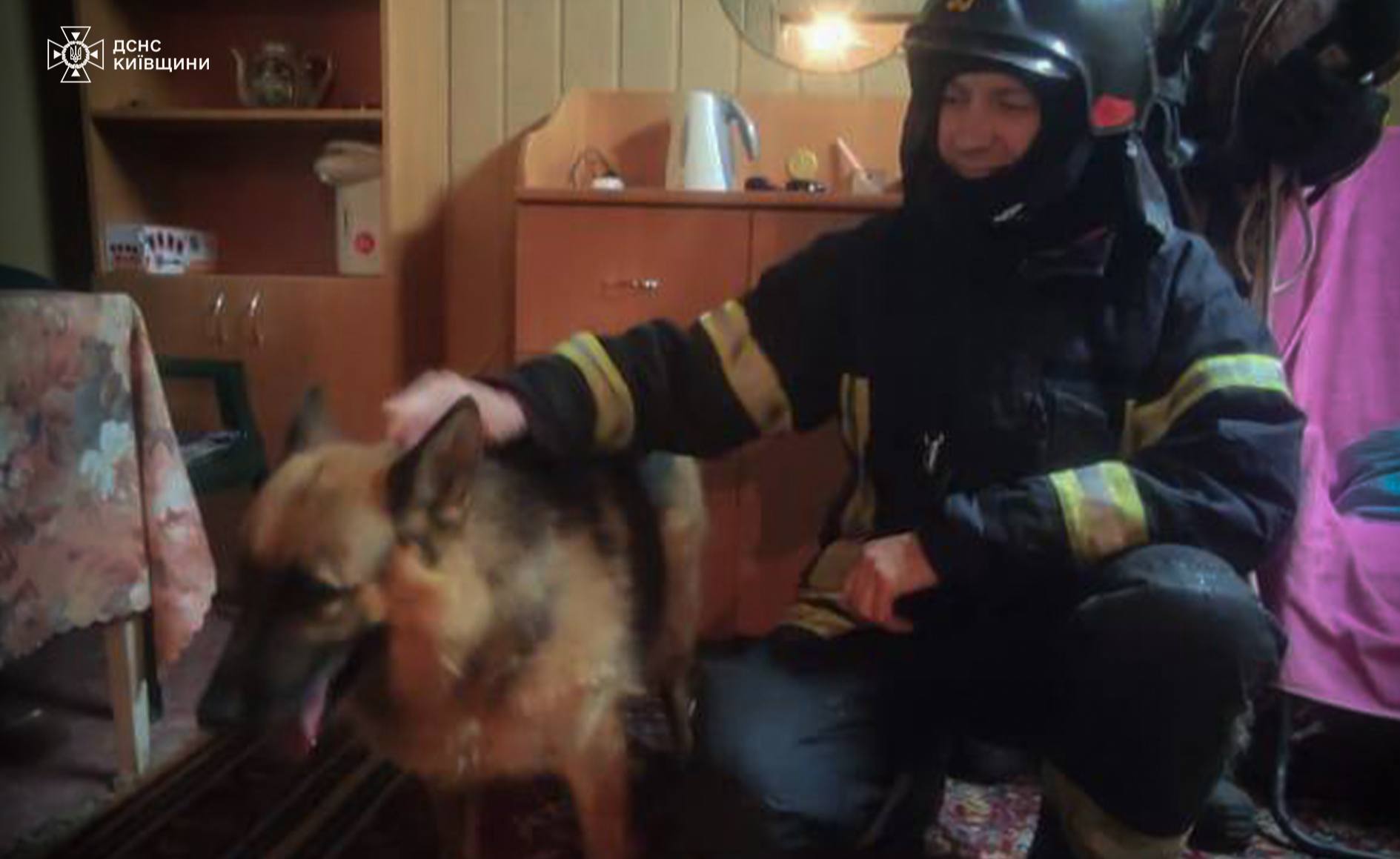 Кожне життя важливе: під Києвом рятувальники прийшли на допомогу переляканій атакою РФ собаці. Відео