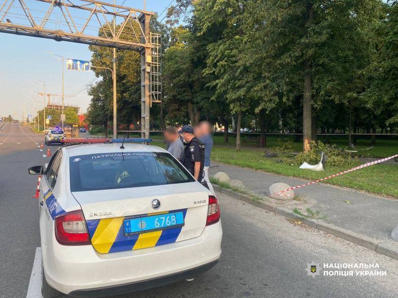 В Киеве пьяный водитель легковушки влетел в Куреневский парк и травмировал двух женщин. Подробности и фото