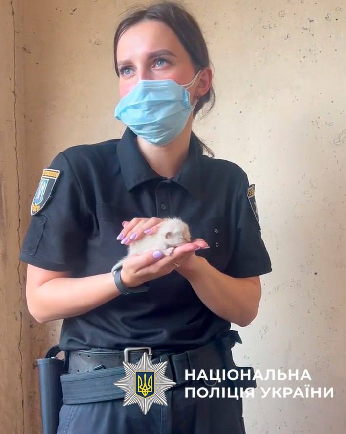 Близько тижня були зачинені у квартирі: у Києві поліцейські врятували дев’ятьох котів. Фото та відео