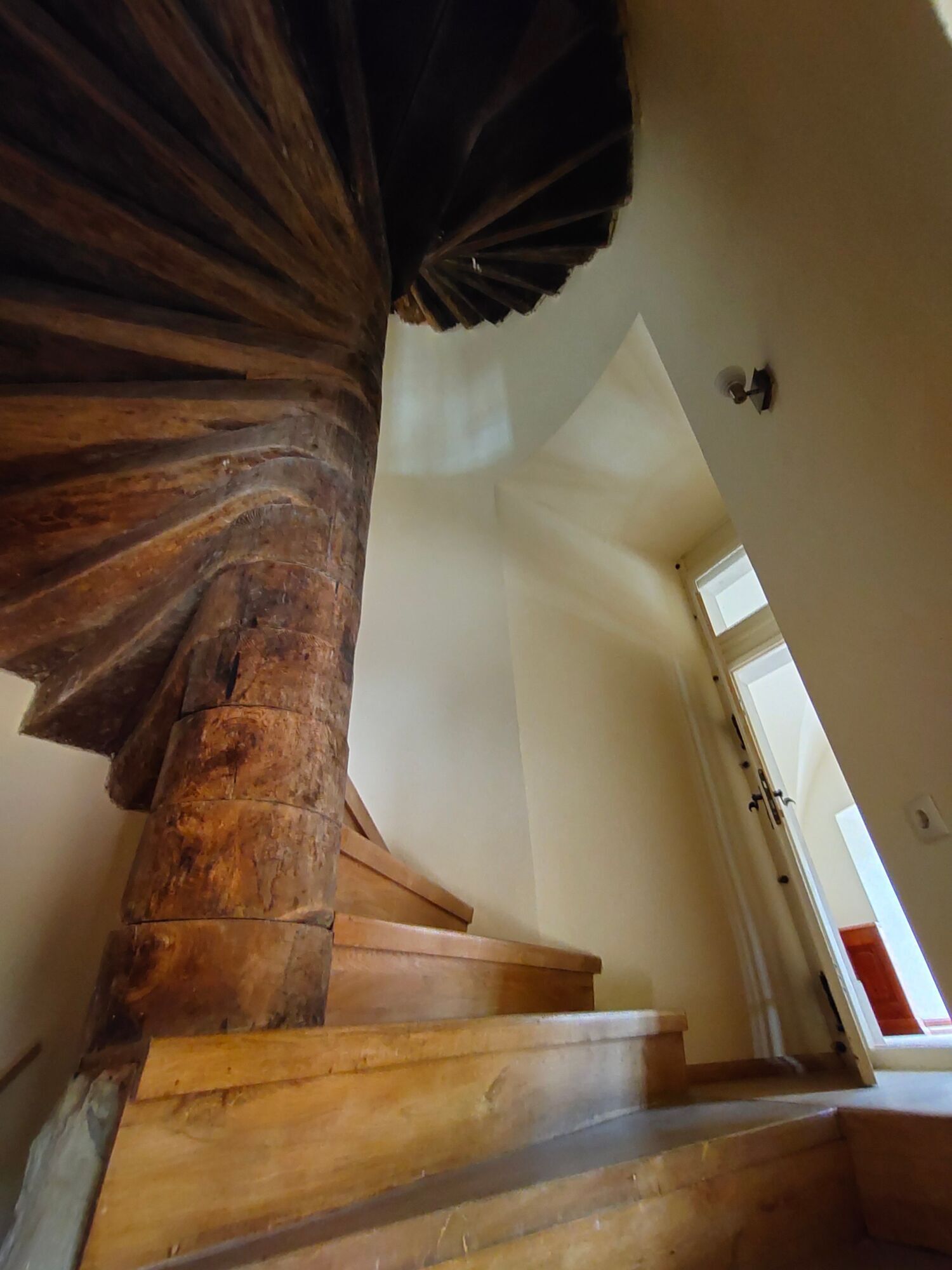 Найкрасивіша ратуша України, римський костел і замок з підземеллями: що приховує містечко Бучач на Тернопільщині