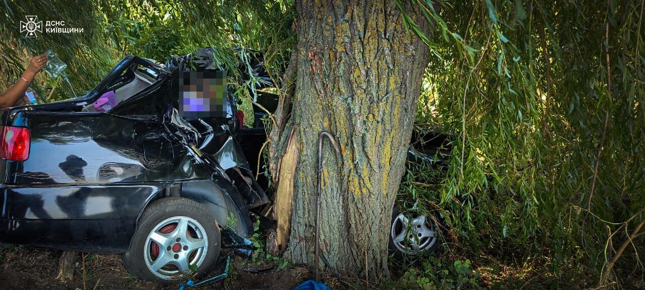 На Киевщине произошло ДТП с участием легковушки: погиб ребенок. Подробности и фото