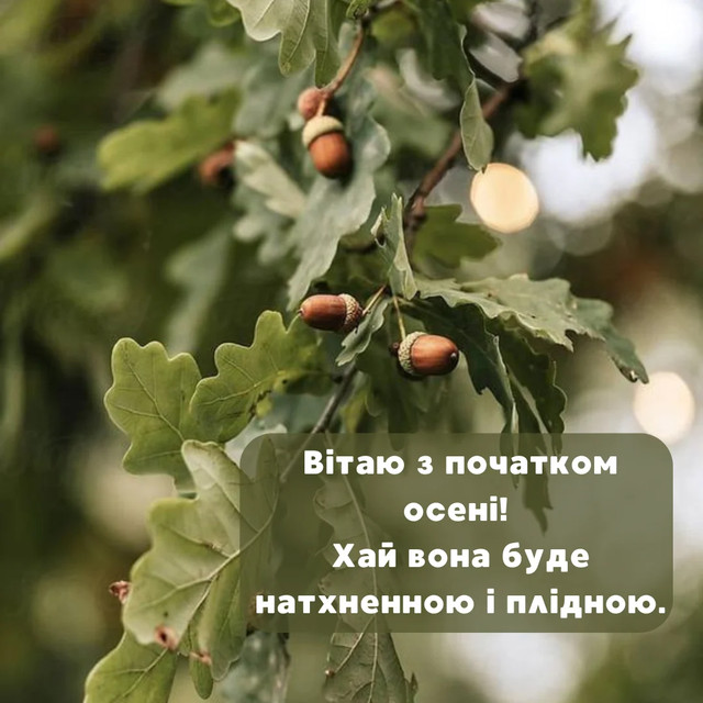 С первым днем осени: красивые поздравления