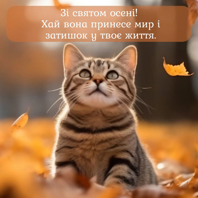 С первым днем осени: красивые поздравления