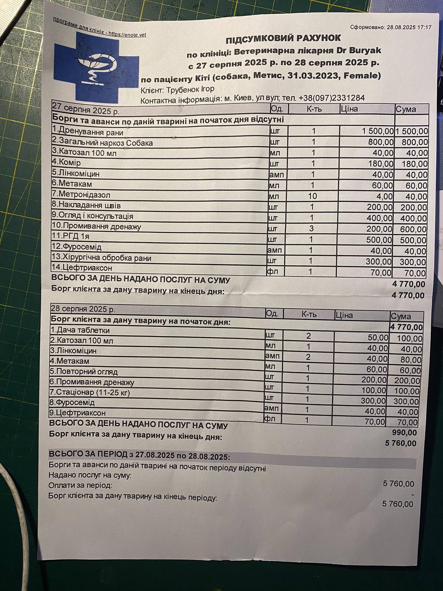 На Київщині алабай співвласника "Студія "Квартал 95" порвав домашнього песика. Подробиці та фото