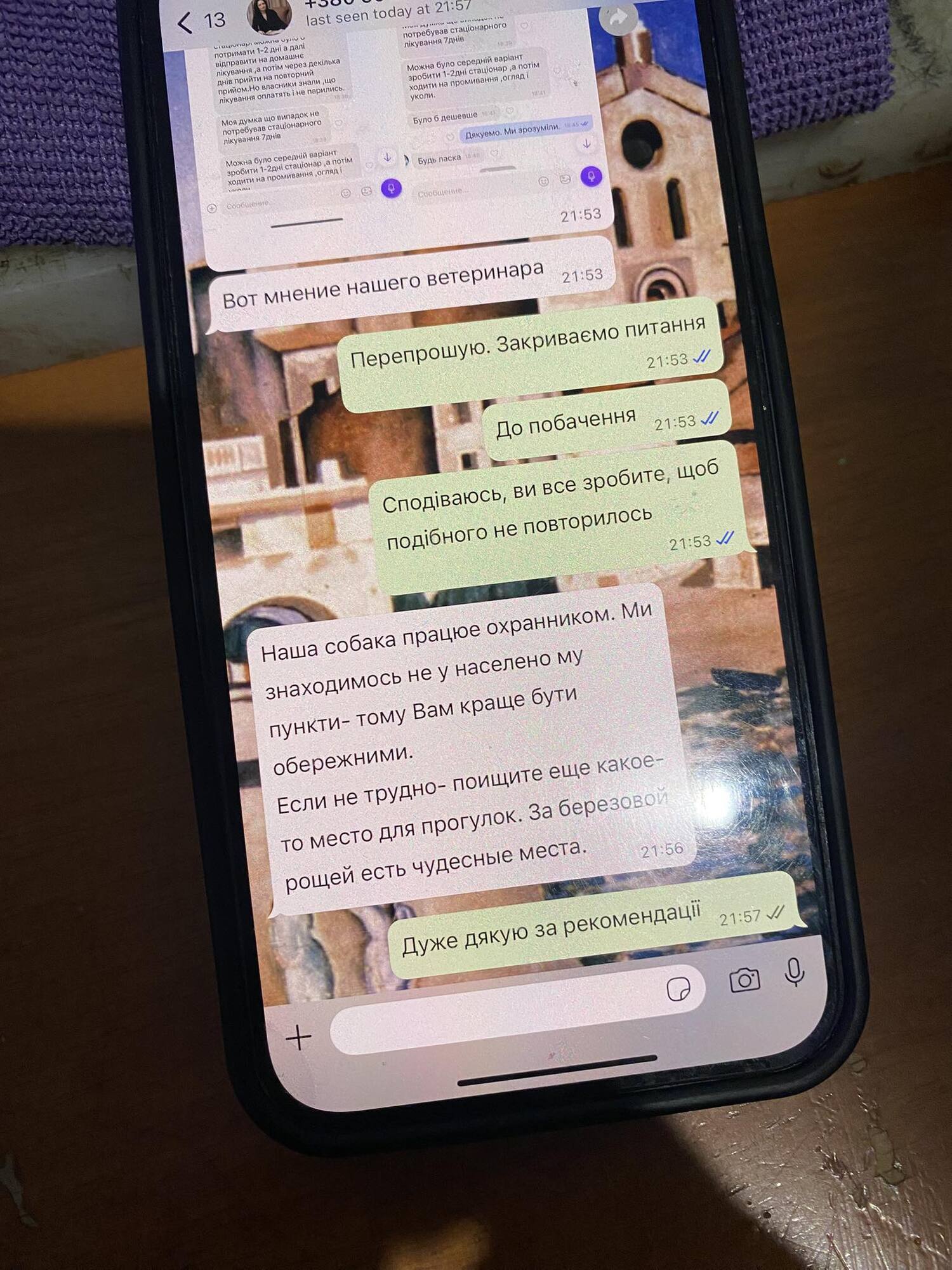 На Київщині алабай співвласника "Студія "Квартал 95" порвав домашнього песика. Подробиці та фото