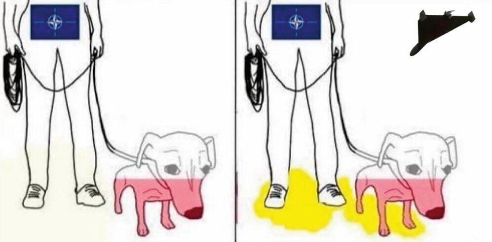 "Вривайся в третю світову": мережа вибухнула мемами через вторгнення дронів РФ у Польщу