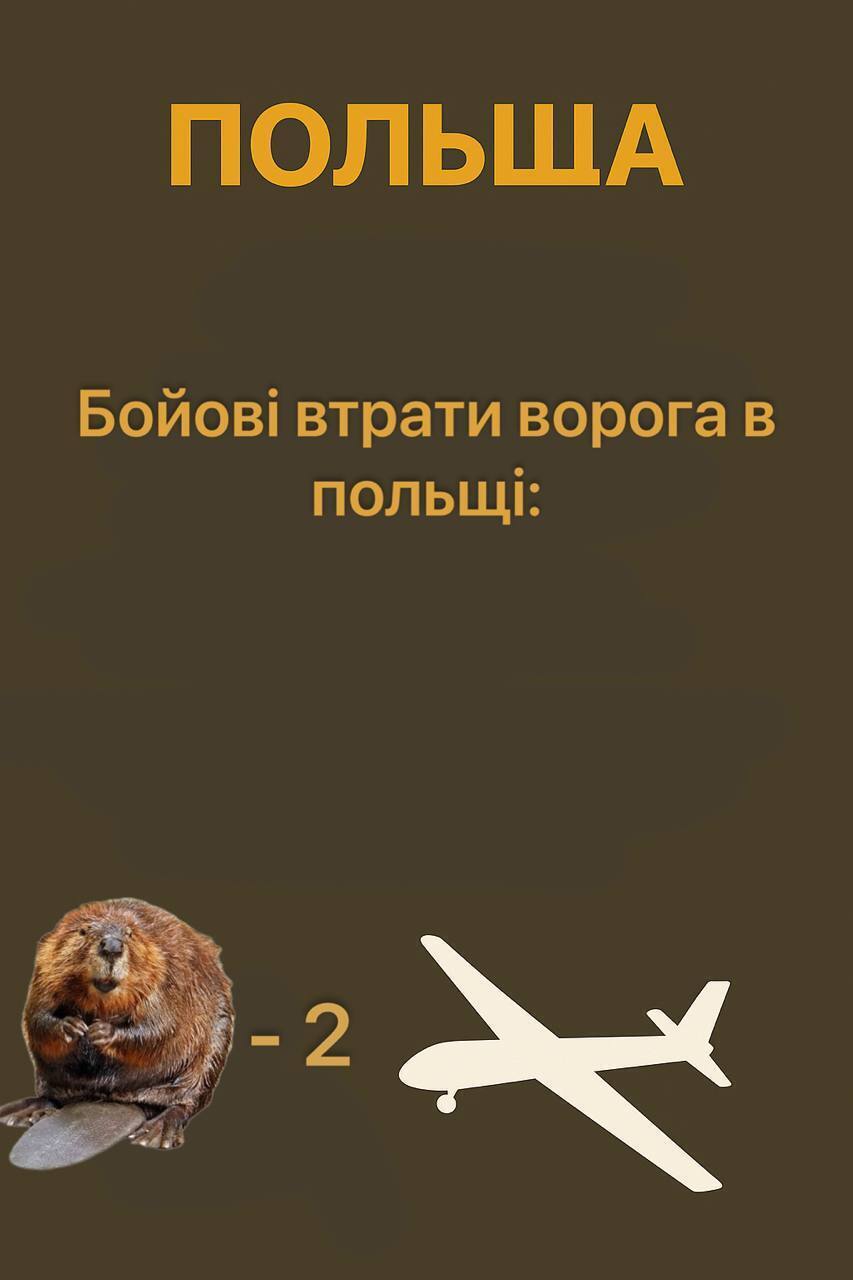 "Вривайся в третю світову": мережа вибухнула мемами через вторгнення дронів РФ у Польщу