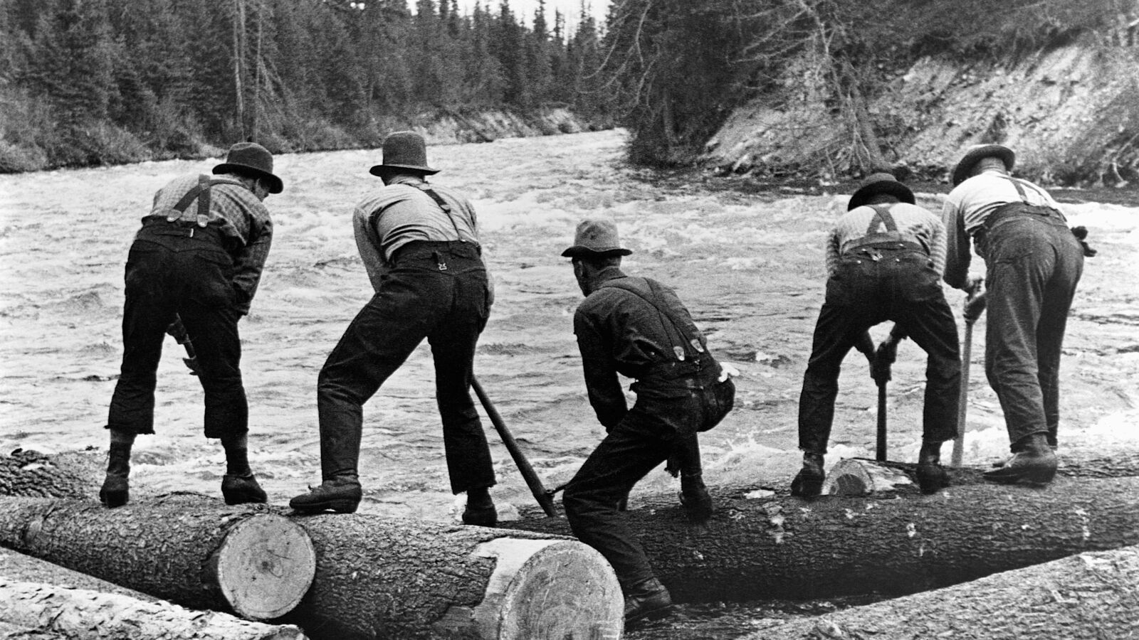 "Шахматная доска", которая окружает реку: астронавт сделал уникальный снимок из космоса. Фото