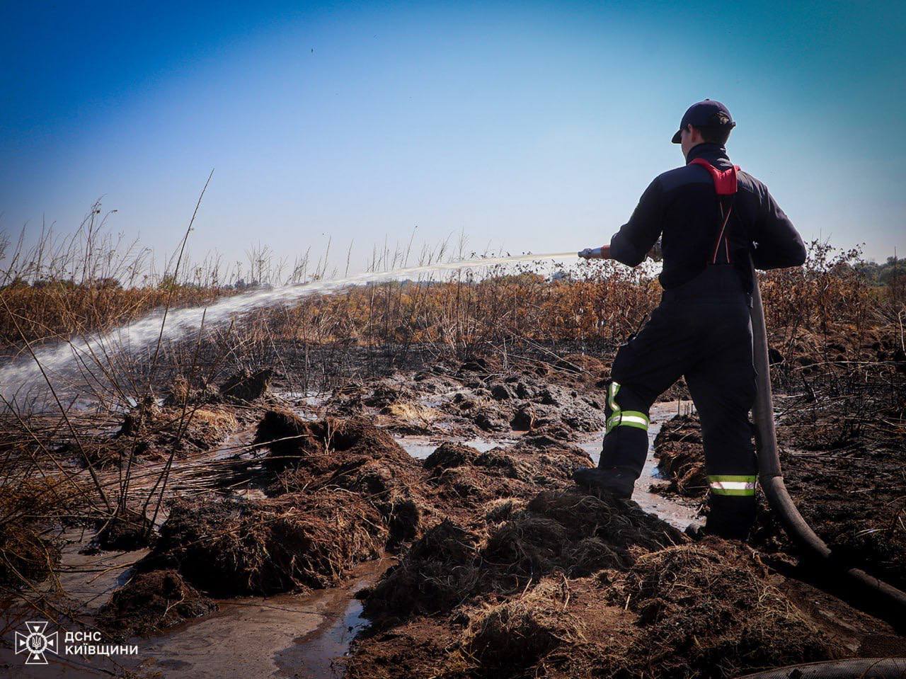 На Київщині сталась масштабна пожежа на торфовищі: вогонь гасять майже добу. Фото та відео