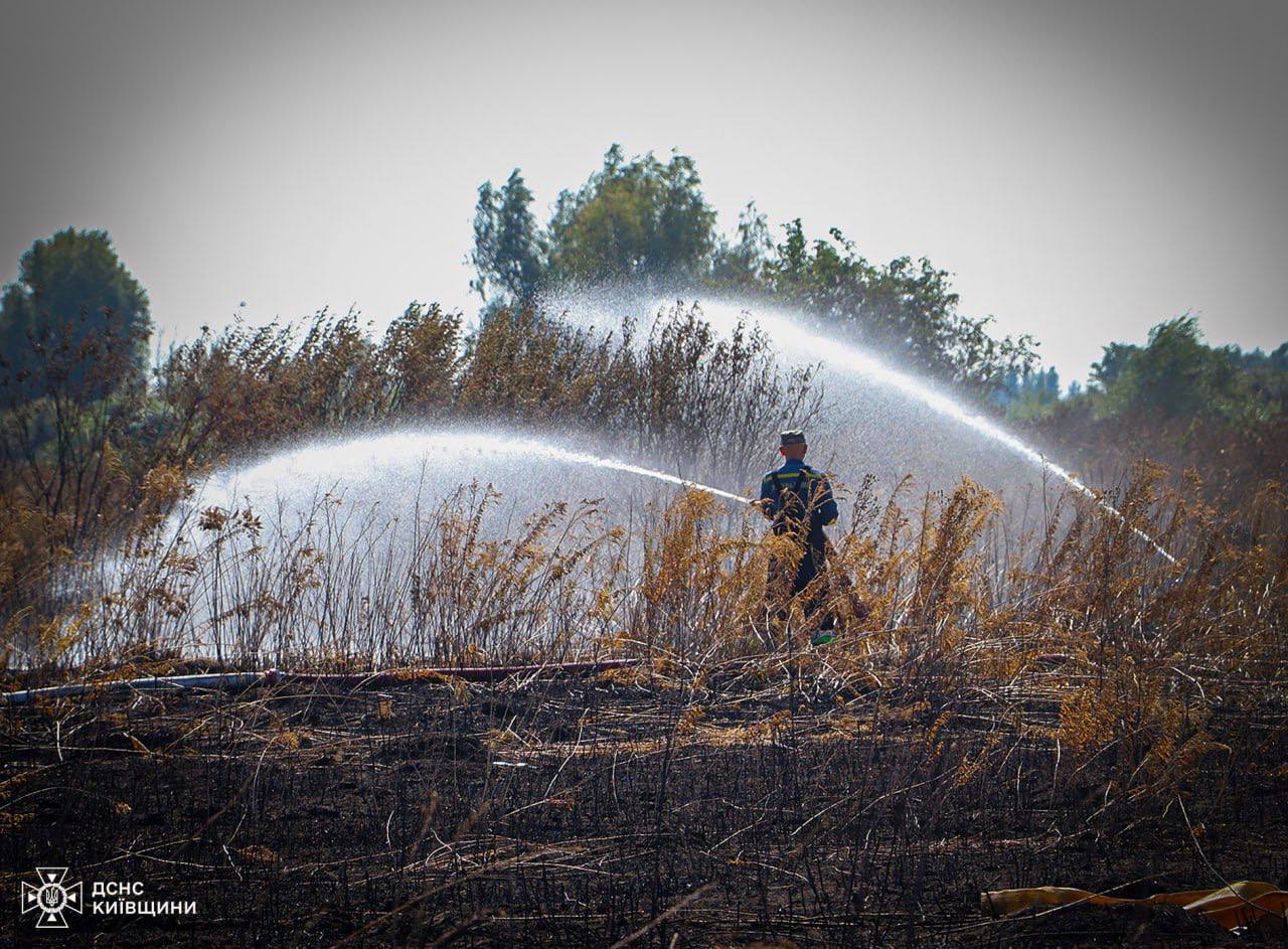 На Київщині сталась масштабна пожежа на торфовищі: вогонь гасять майже добу. Фото та відео