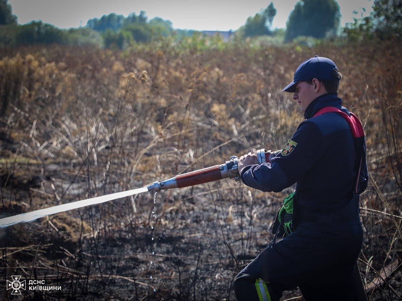 На Київщині сталась масштабна пожежа на торфовищі: вогонь гасять майже добу. Фото та відео