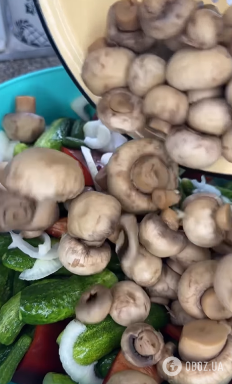 Все в одной банке: как закрыть вкусный салат с грибами, перцем и огурцами на зиму