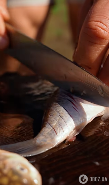 Чищені карасі