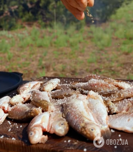 Спеції для риби