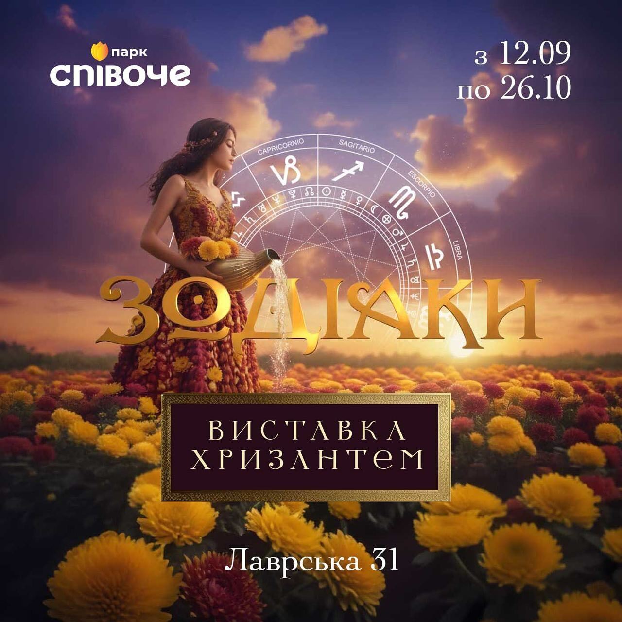 Цвітіння хризантем на Співочому полі в Києві