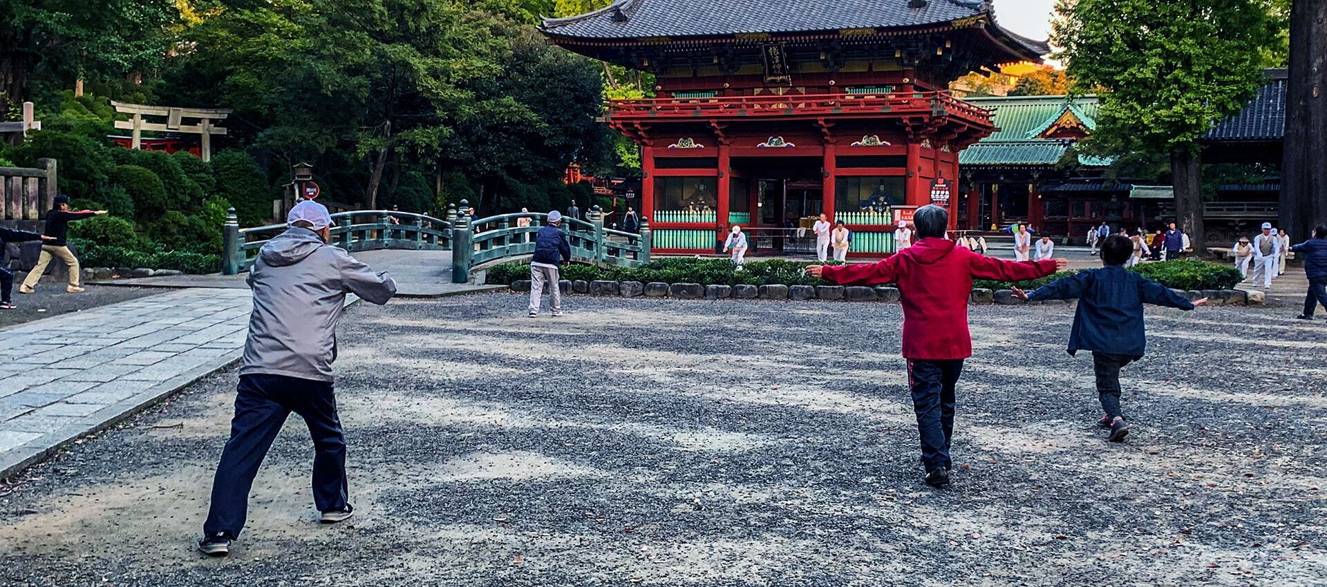 В Японии зафиксировали рекордное количество людей старше 100 лет: в чем секрет долгожителей