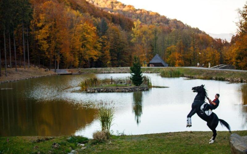 Парк Шенборна