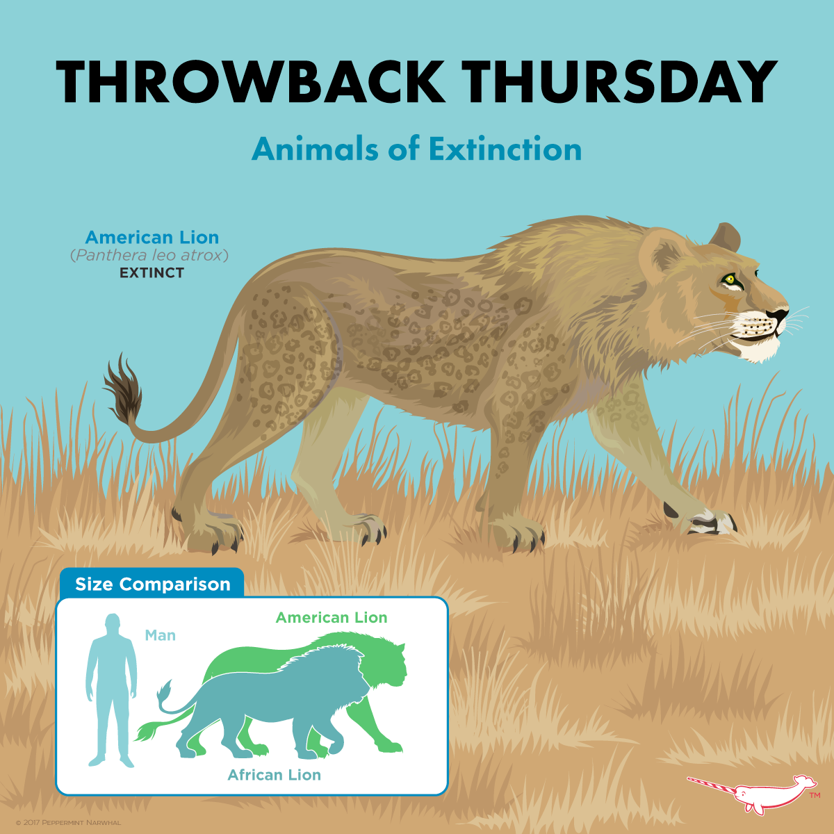 Главный хищник ледникового периода: биолог рассказал о самом большом льве в истории