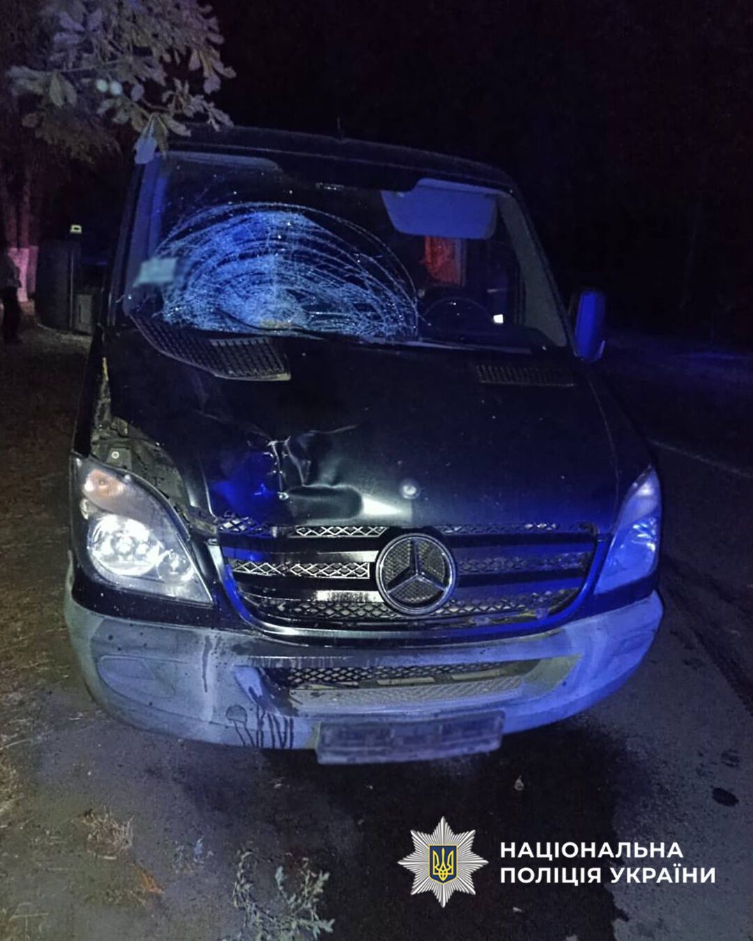 В Черкасской области водитель сбил женщину на пешеходном переходе: пострадавшая скончалась на месте. Фото