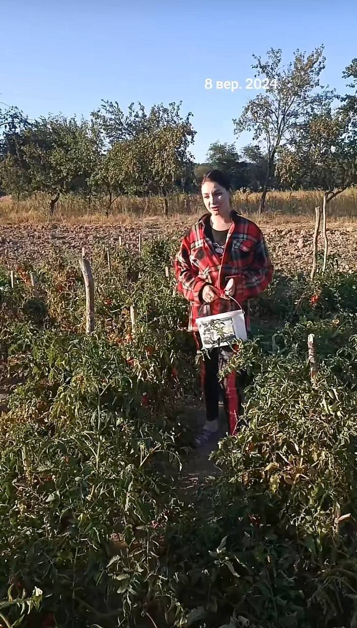 Попрошайничает в TikTok и называет себя "элитной проституткой": кто такая блогерша Дианка, за беременностью которой следила вся Украина