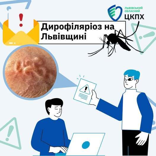 Во Львове врачи удалили из глаза мужчины 12-сантиметрового гельминта: заразился из-за укуса комара на отдыхе. Фото
