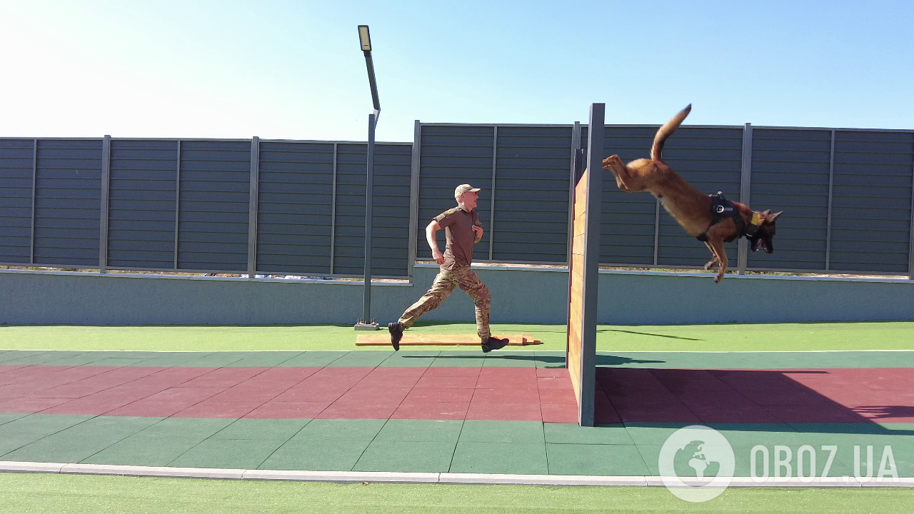 Собаки как терапевты: чем уникален новый кинологический центр Нацполиции