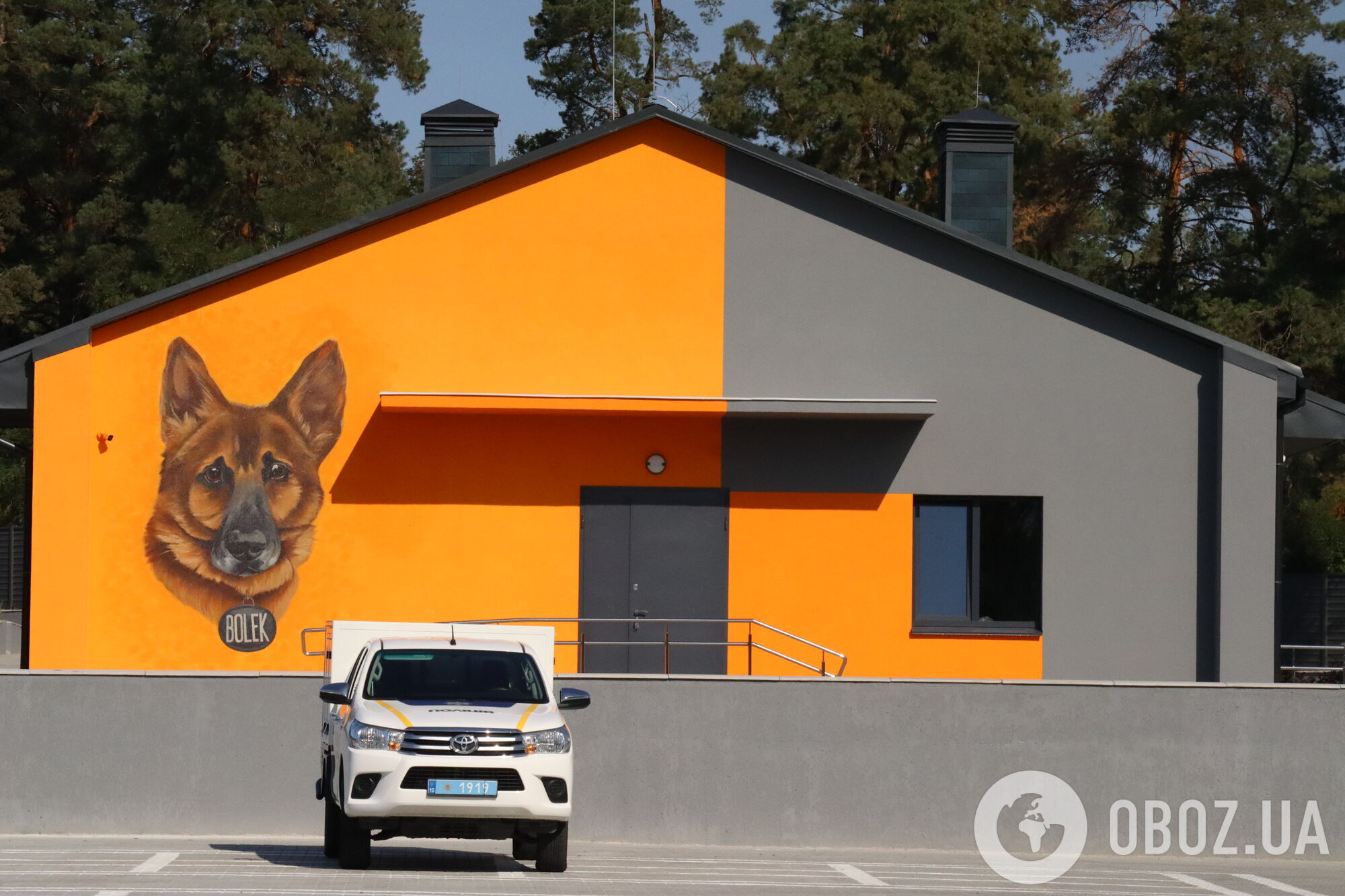 Собаки как терапевты: чем уникален новый кинологический центр Нацполиции