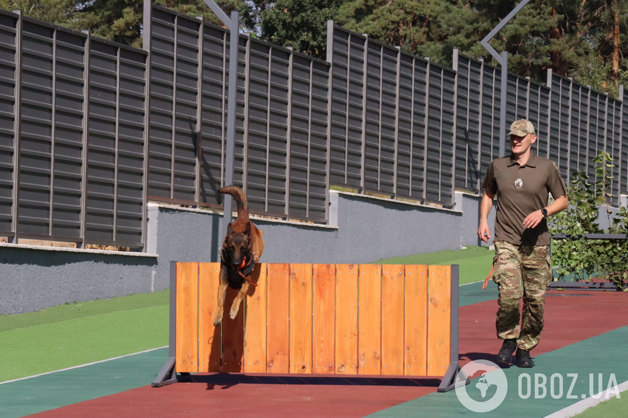 Собаки как терапевты: чем уникален новый кинологический центр Нацполиции