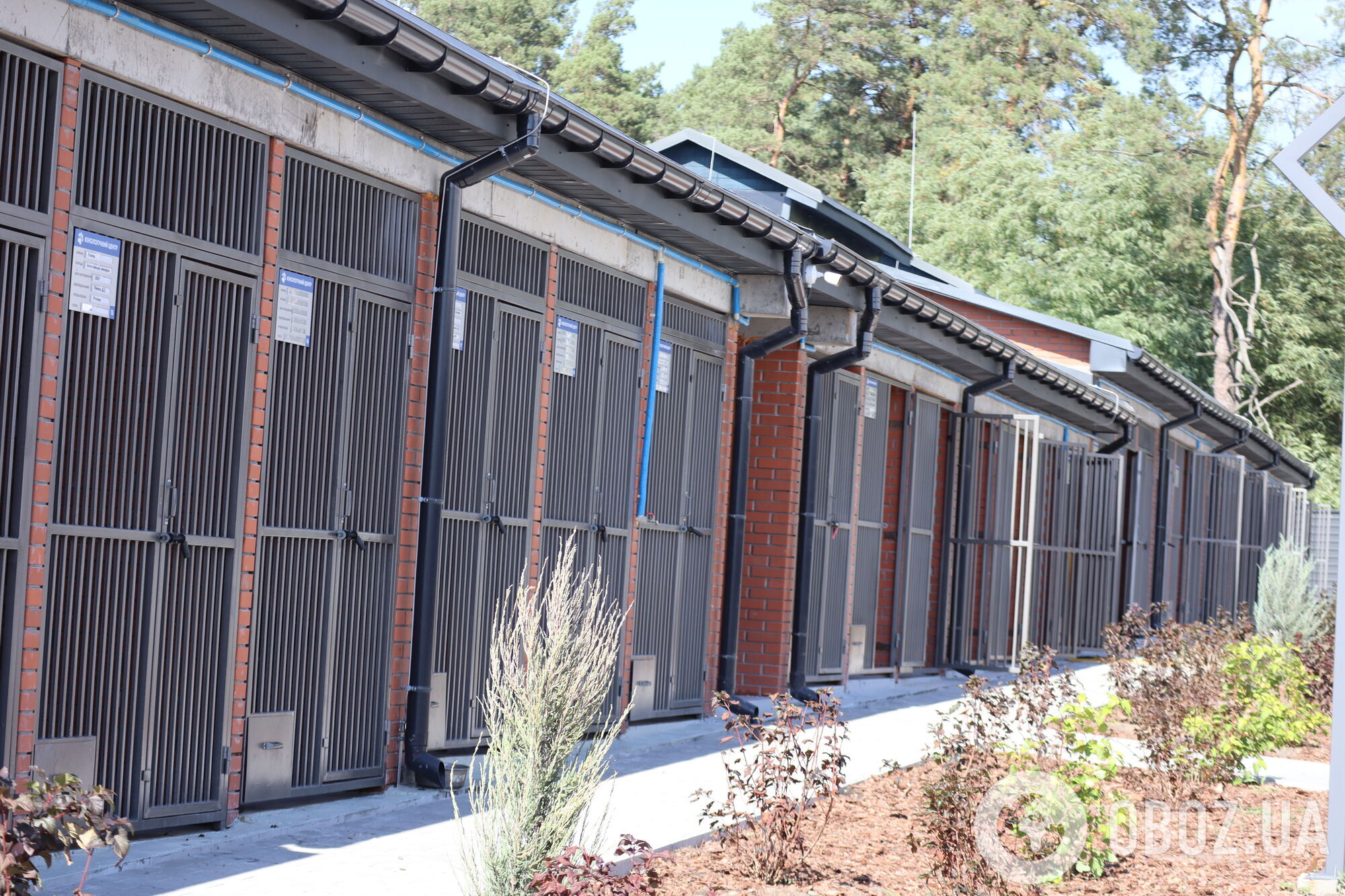 Собаки как терапевты: чем уникален новый кинологический центр Нацполиции