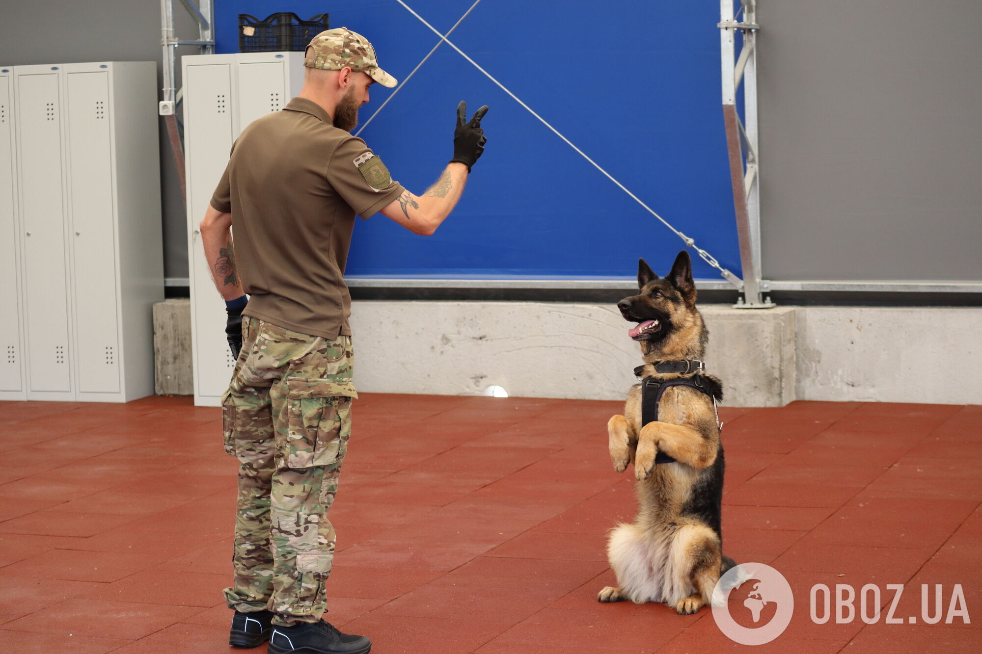 Собаки как терапевты: чем уникален новый кинологический центр Нацполиции