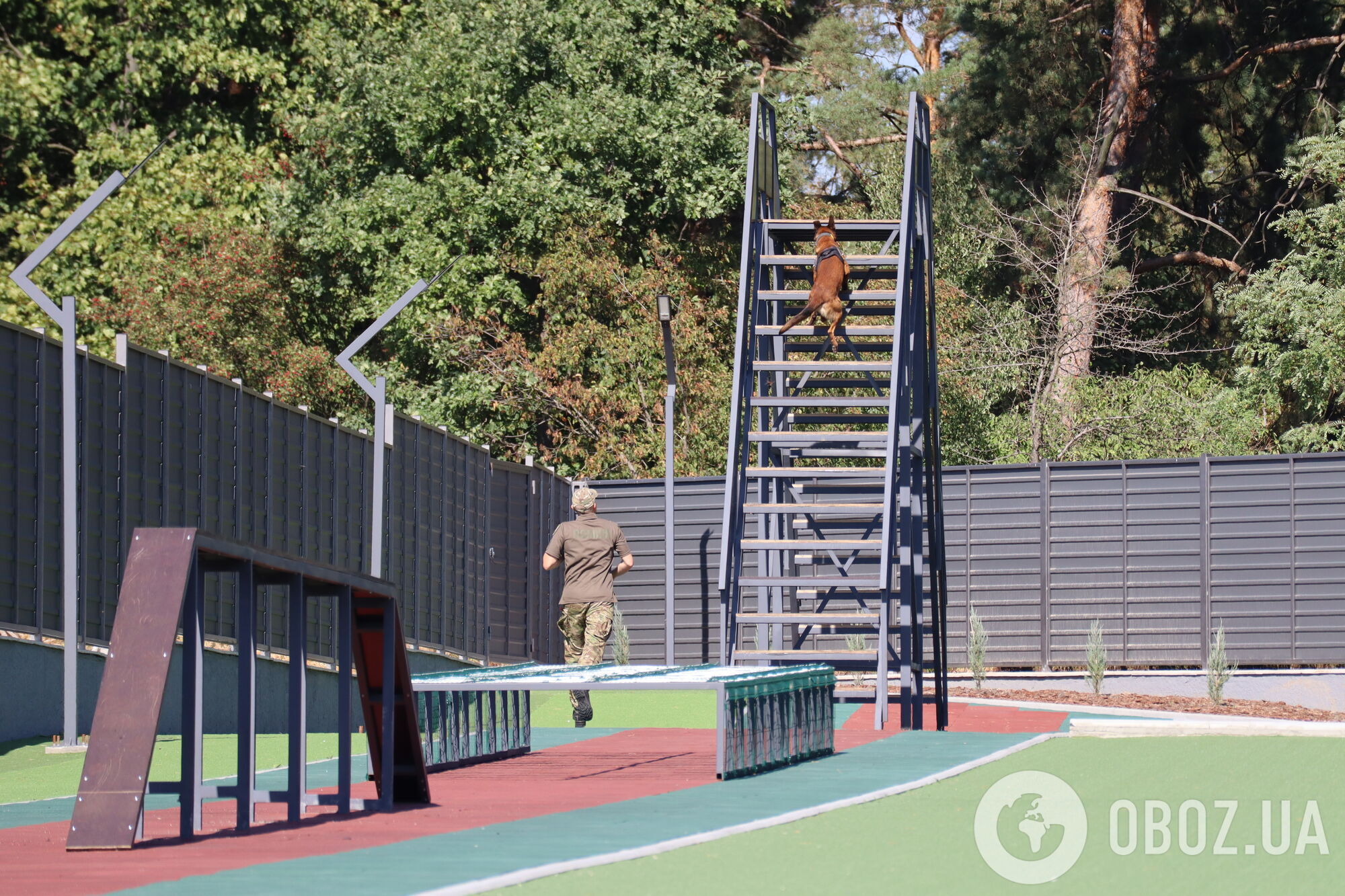 Собаки как терапевты: чем уникален новый кинологический центр Нацполиции