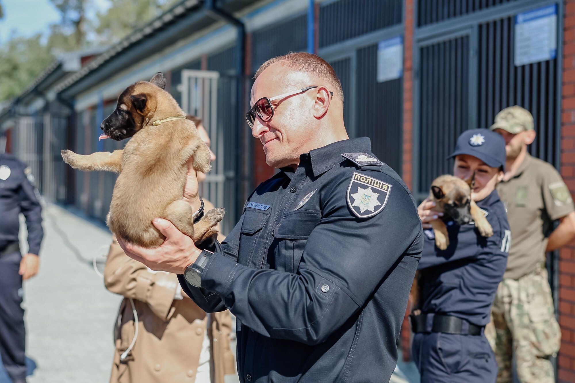 Собаки как терапевты: чем уникален новый кинологический центр Нацполиции