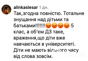 ''МОН забыло, что в стране война? Дети живут в стрессе!'' Крик души журналистки из-за ВНО для 4-х классов зацепил сеть