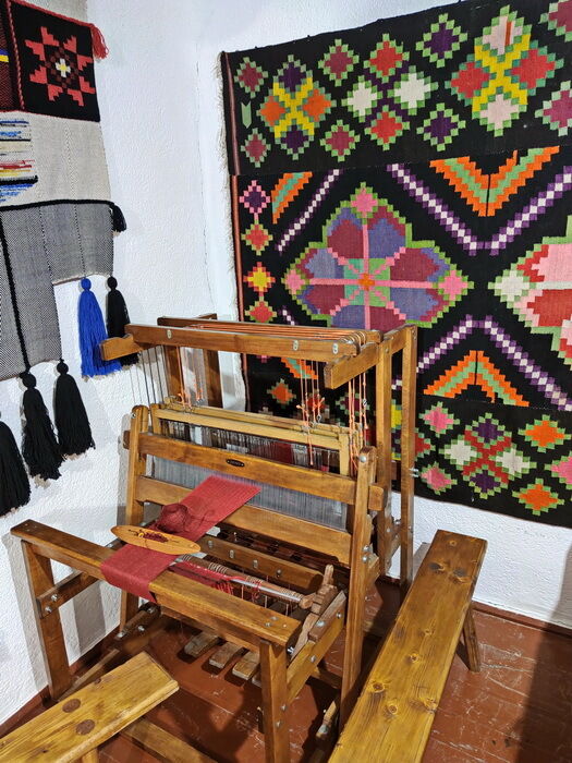 Що подивитися у Буші