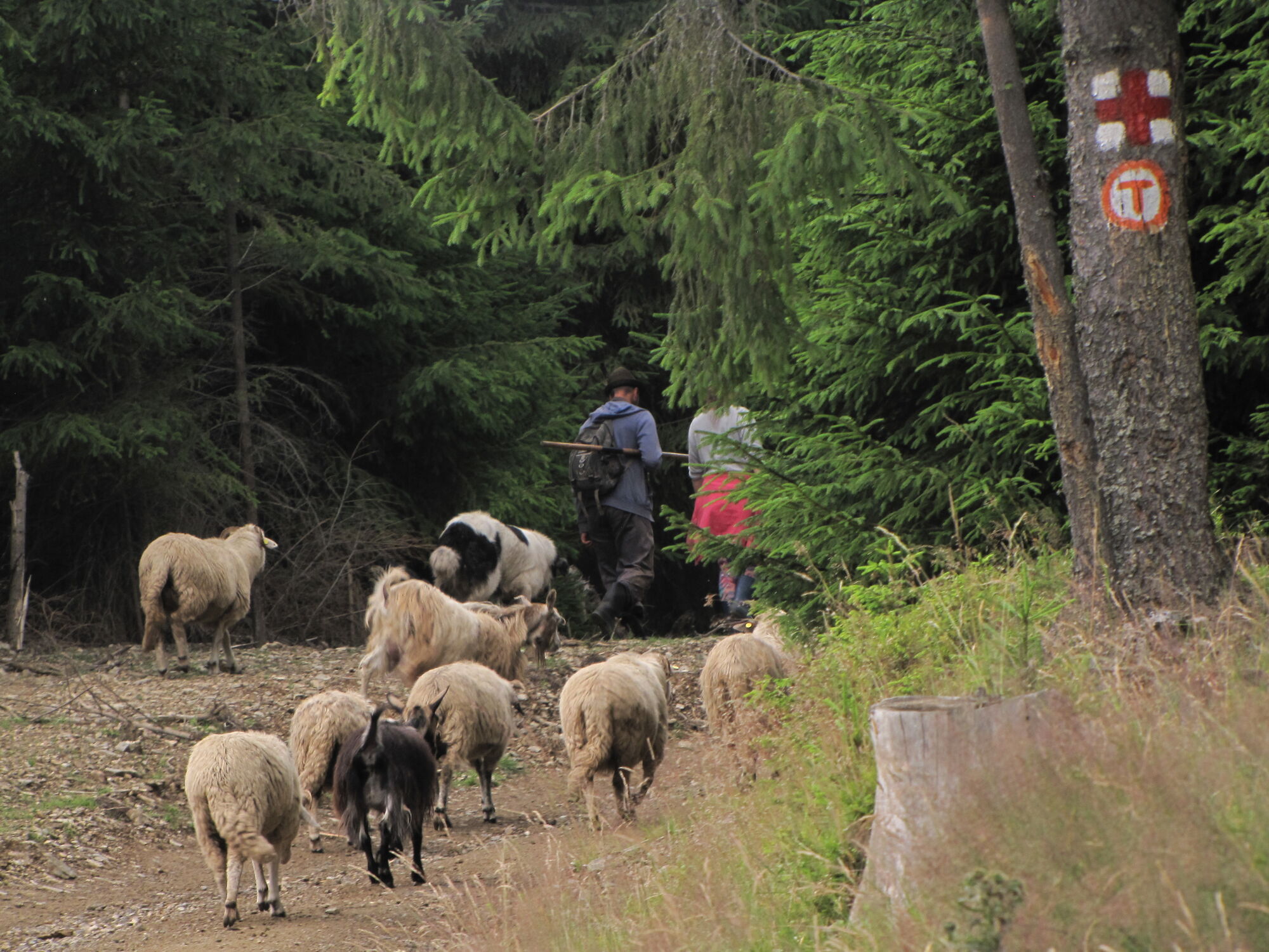 Одна из самых дешевых: названа лучшая страна Европы для пешеходного туризма