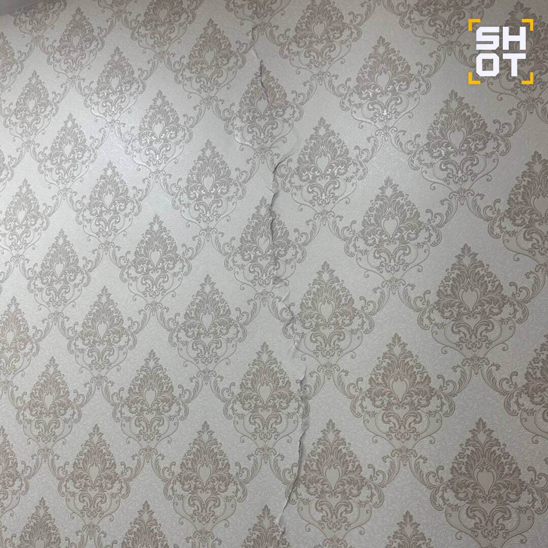 Качало дома и авто: на Камчатке произошло землетрясение магнитудой 7,8. Видео