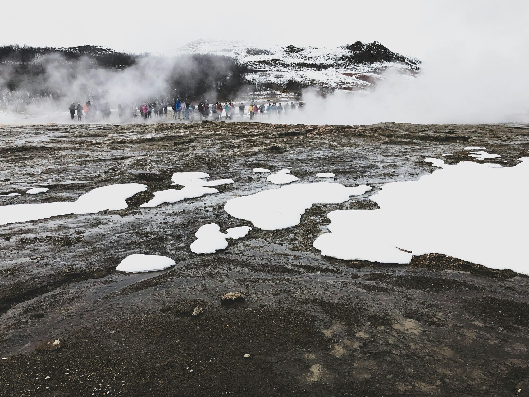 Чи є країни, де немає комарів? Вчені дали відповідь