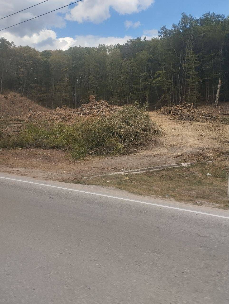 Оккупанты хотят расширить трассу Севастополь – Ялта, вырубив вдоль дороги тысячи деревьев. Фото и видео