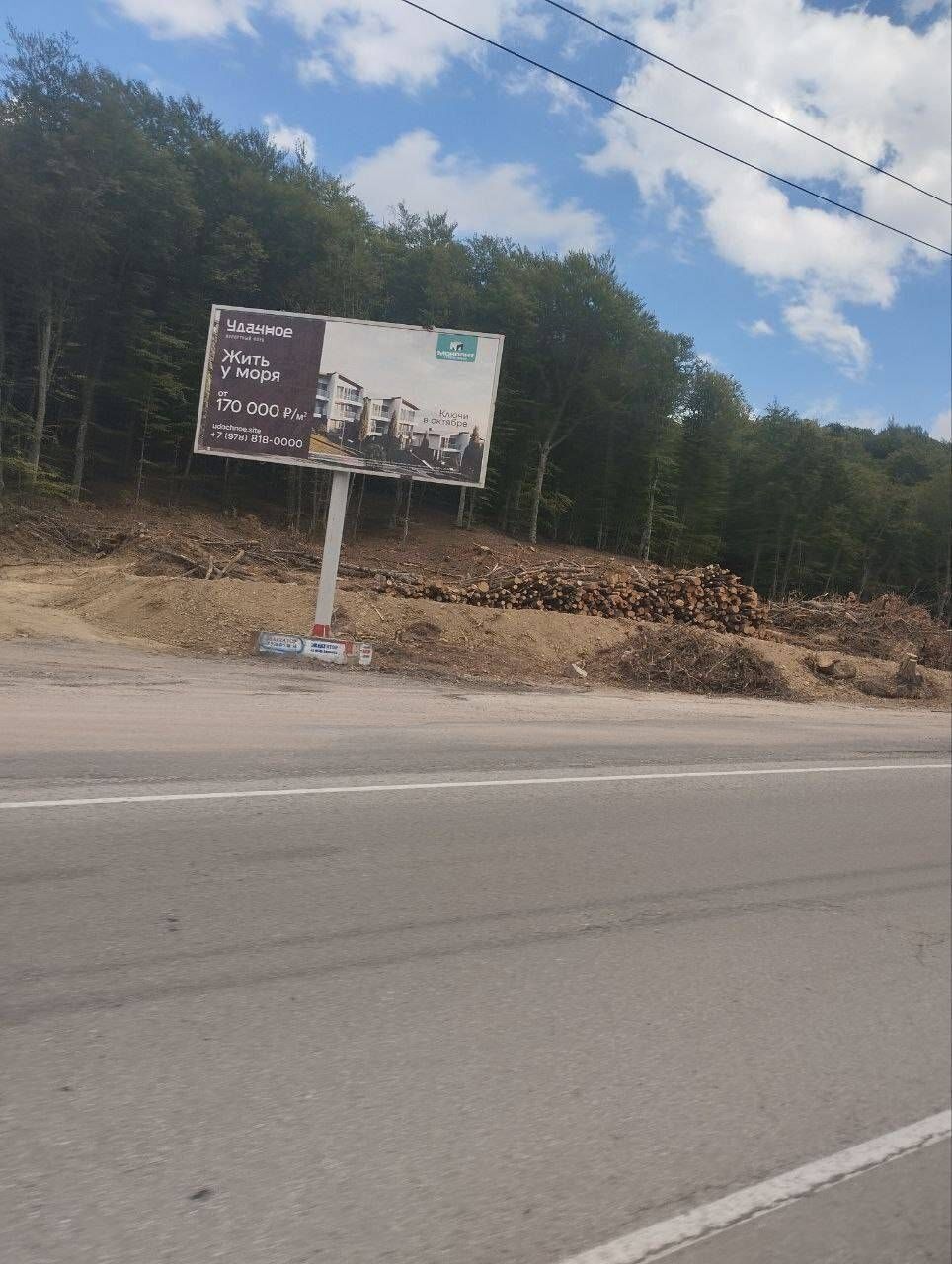 Оккупанты хотят расширить трассу Севастополь – Ялта, вырубив вдоль дороги тысячи деревьев. Фото и видео