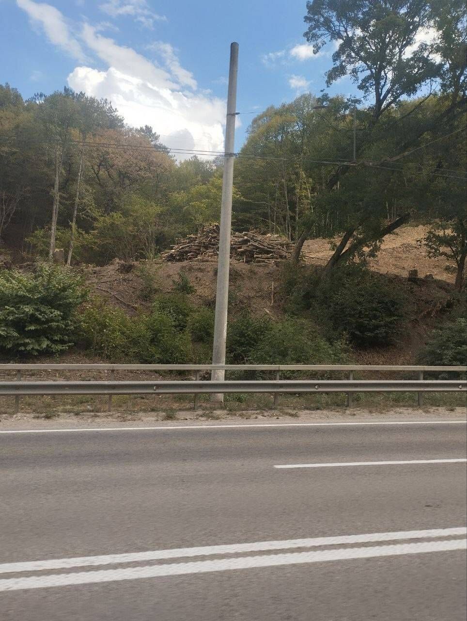 Оккупанты хотят расширить трассу Севастополь – Ялта, вырубив вдоль дороги тысячи деревьев. Фото и видео