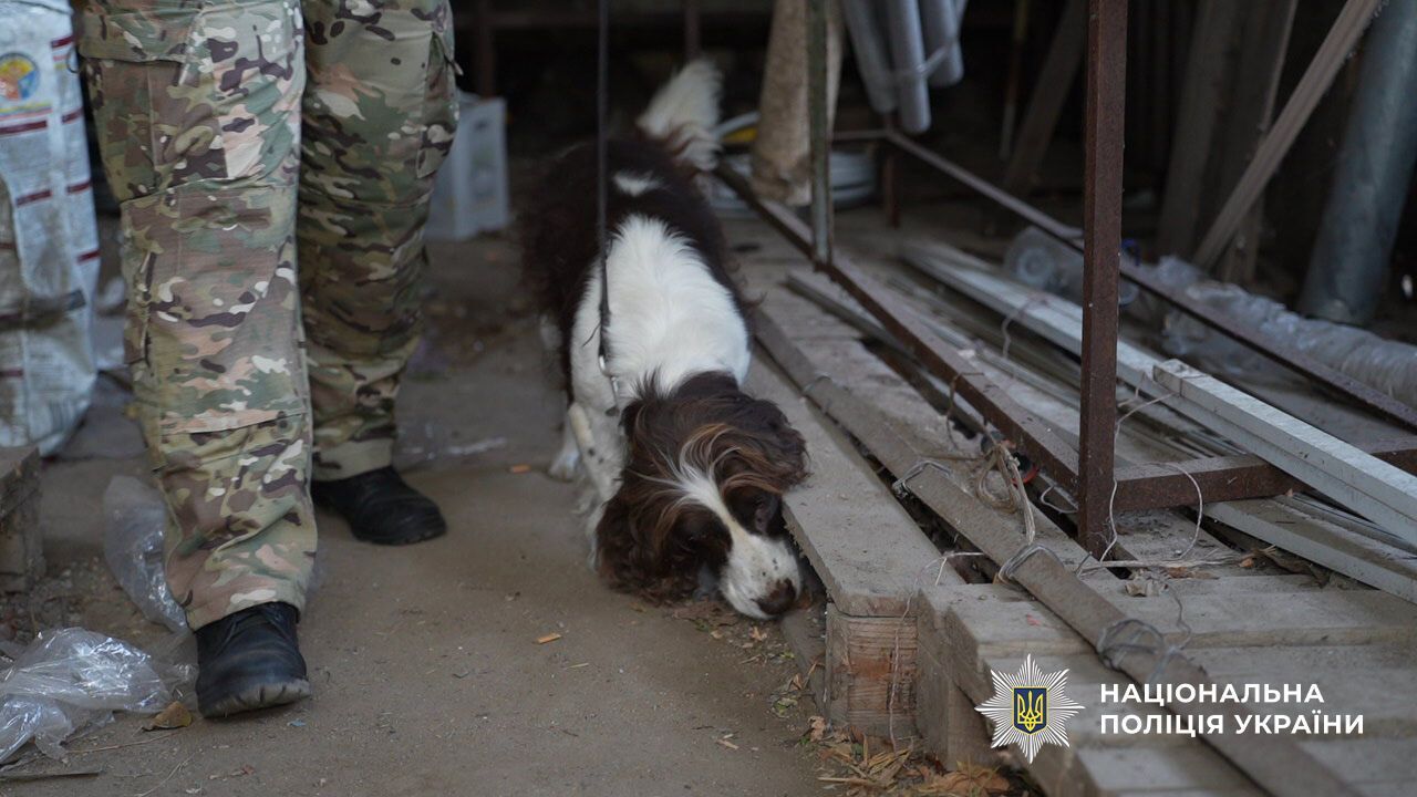 "Бізнес" на продажі психотропів: в Одесі поліція викрила наркокартель з багатомільйонним оборотом. Фото і відео