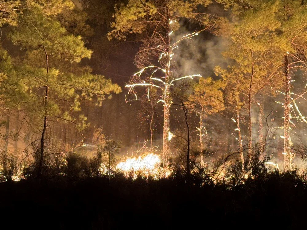 пожар, лесной пожар, Турция, новости Турции, лес горит,