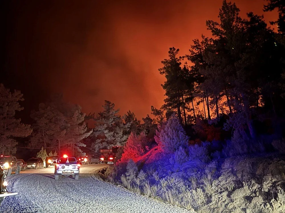 пожар, лесной пожар, Турция, новости Турции, лес горит,