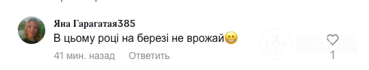 ''Скільки яблук росло на березі?'' Мережу спантеличила задача в підручнику для 2 класу: правильну відповідь знали навіть не всі батьки